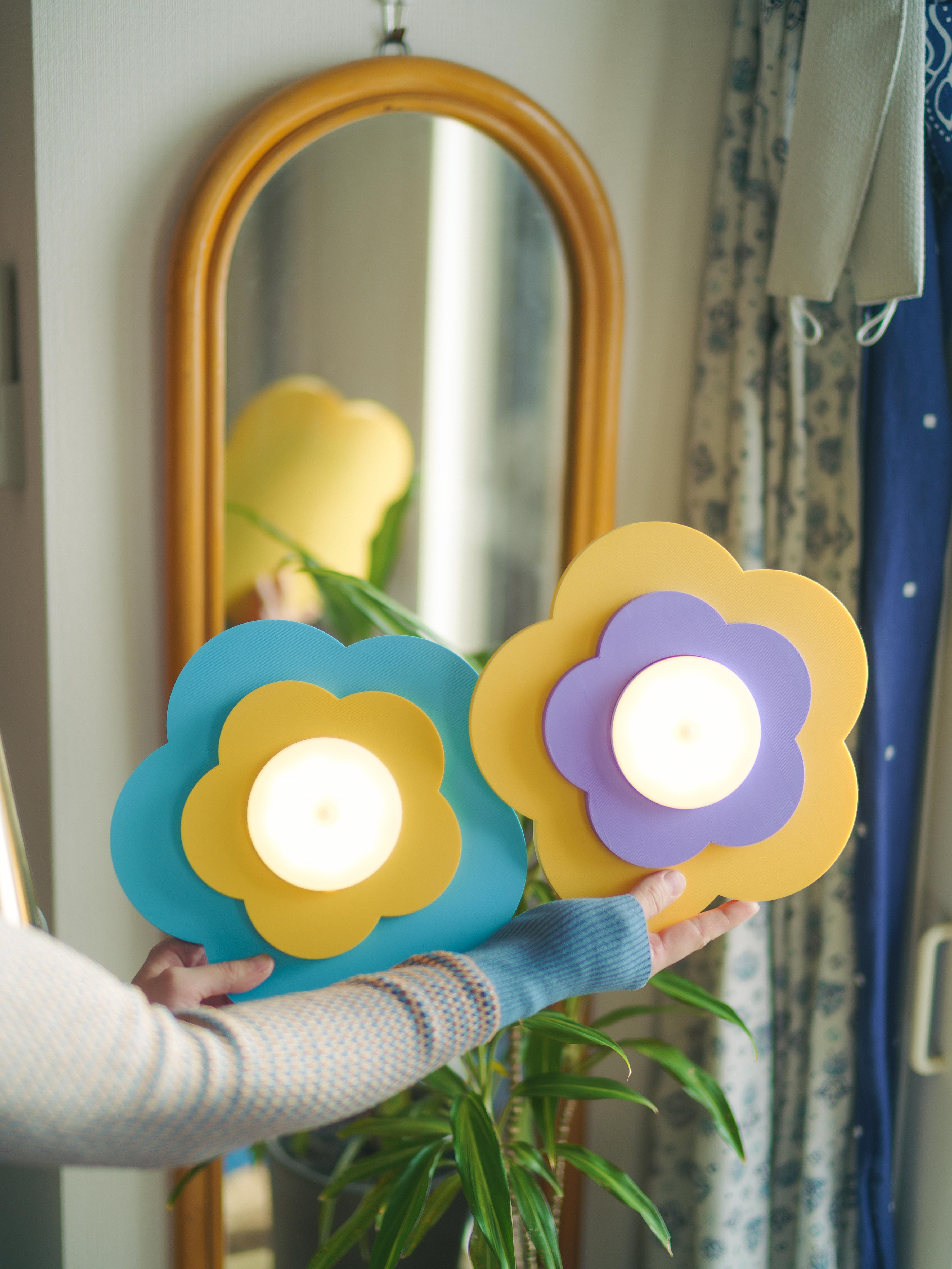 MAROMI Nonno (ノンノ)